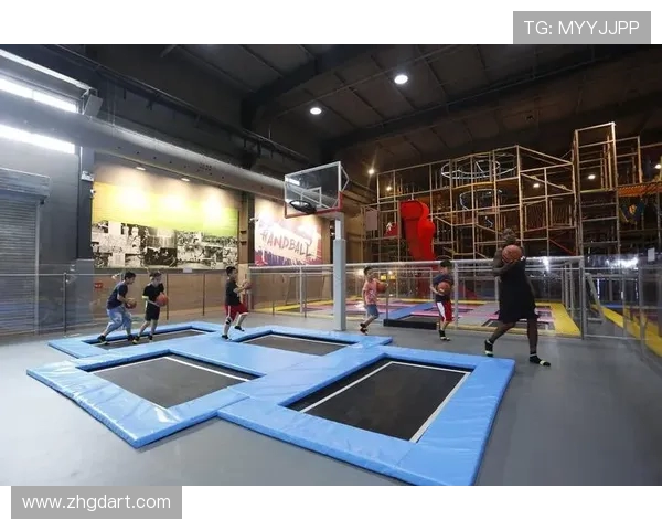 成都极限运动队比赛经验分析与数据洞察探讨