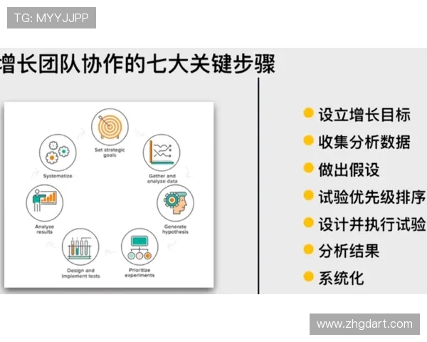 以knight中路为核心解析团队协作与战术执行的关键影响因素